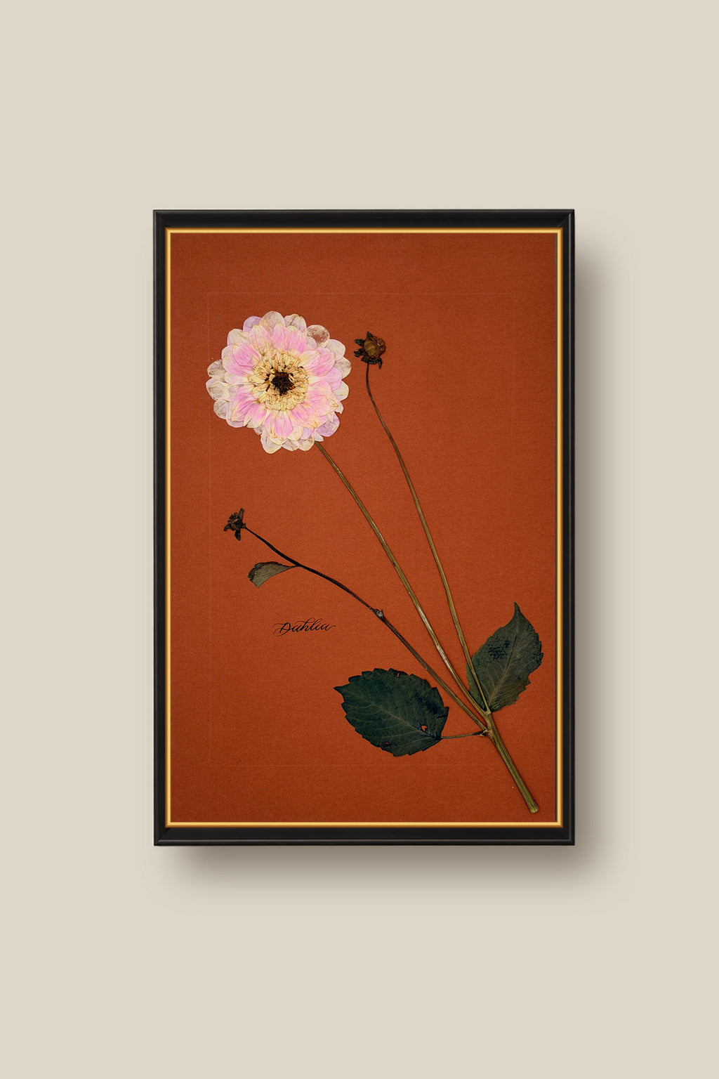 Dahlia Framed