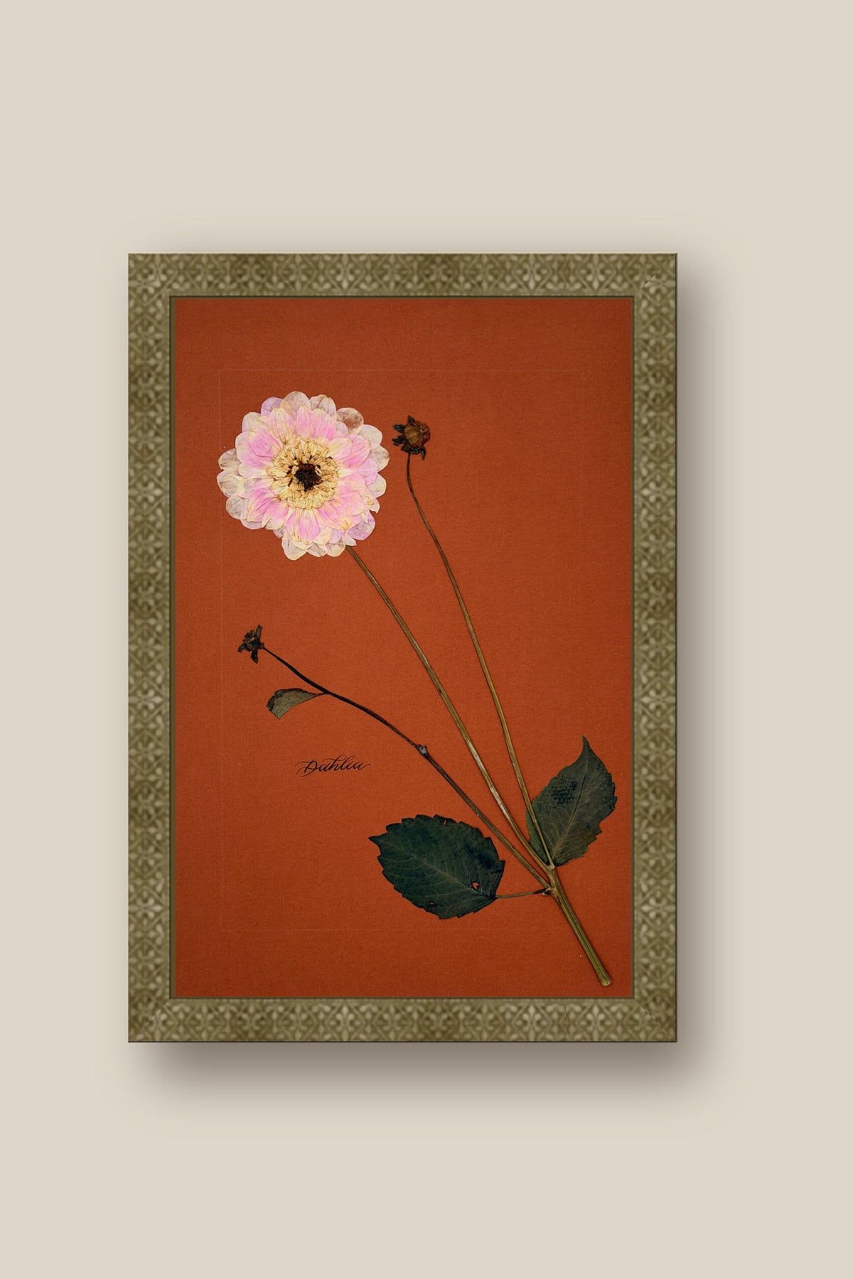 Dahlia Framed