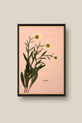 Daisies on Pink Framed