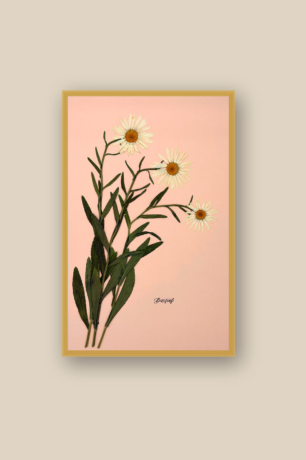 Daisies on Pink Framed
