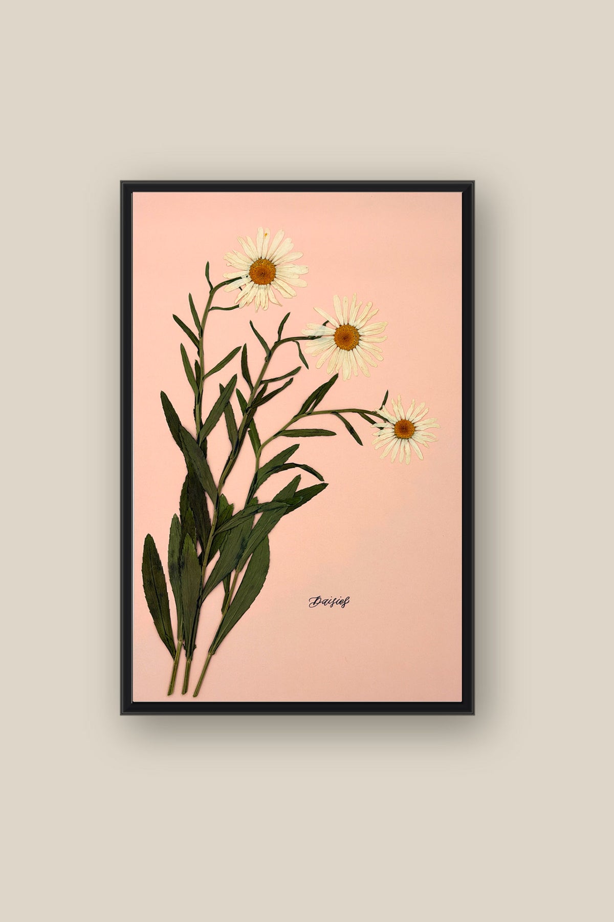 Daisies on Pink Framed