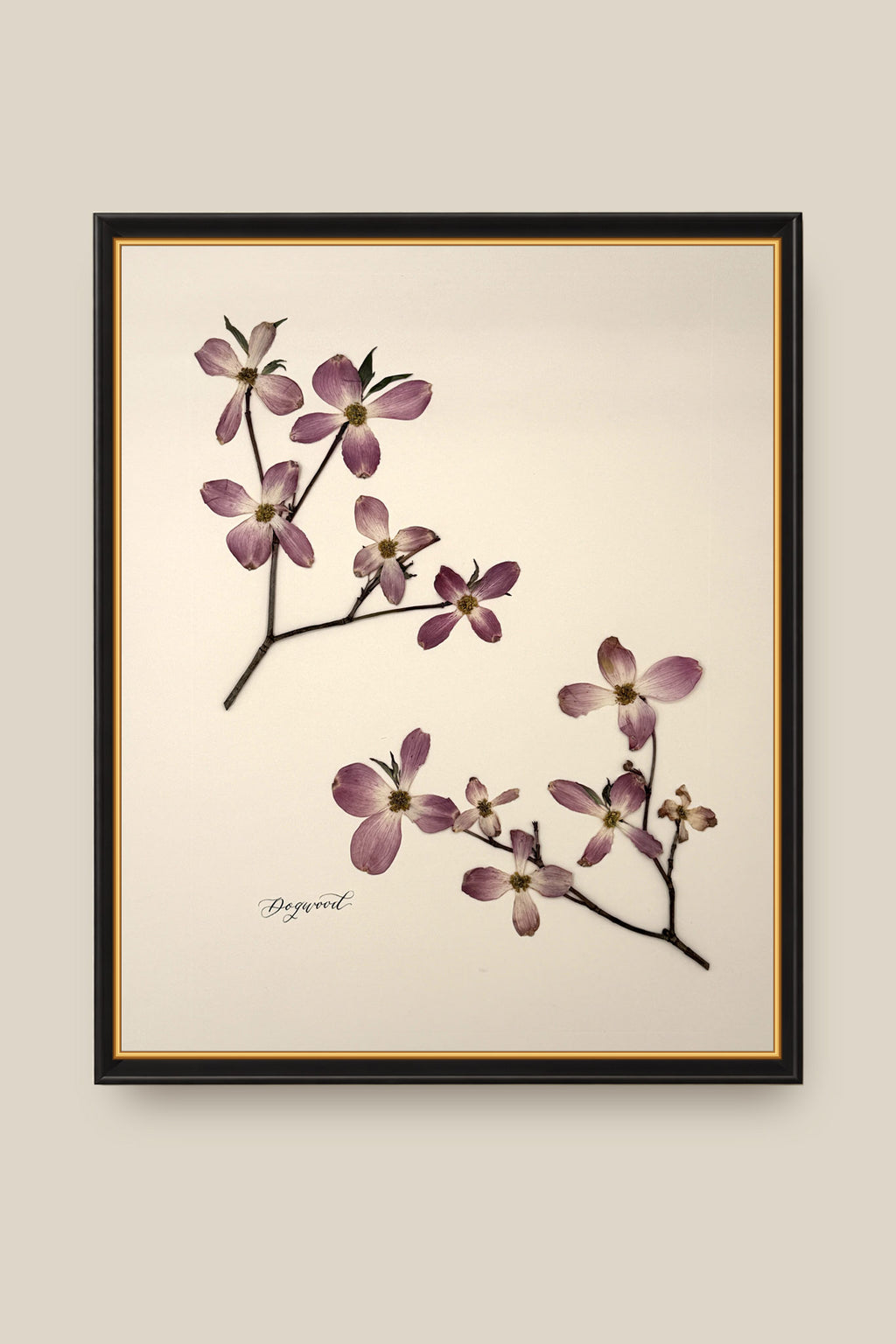 Dogwood Framed