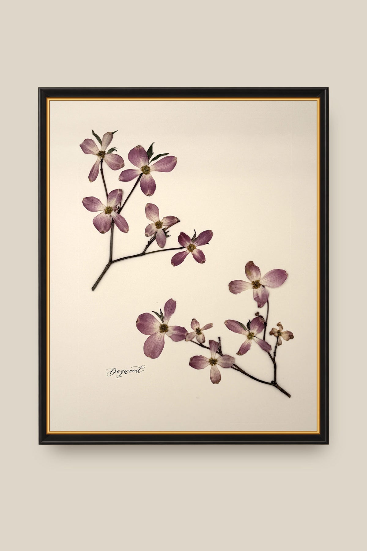 Dogwood Framed