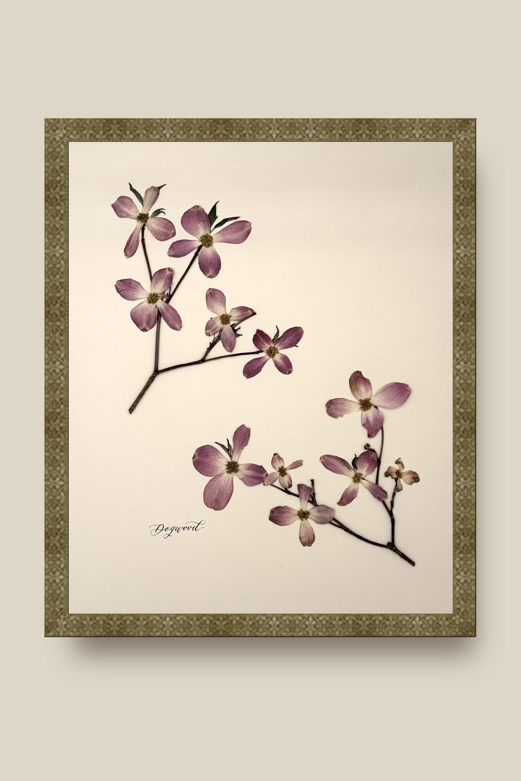 Dogwood Framed