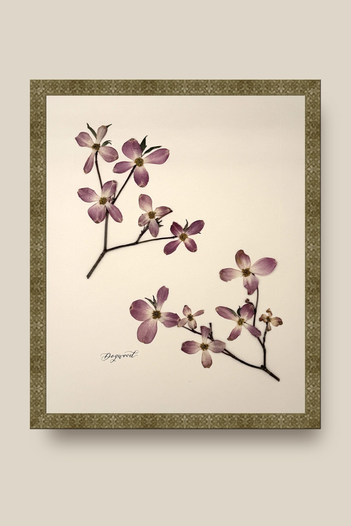 Dogwood Framed