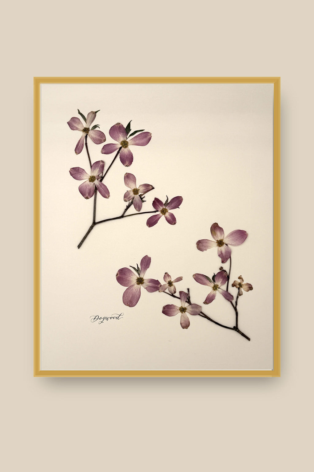 Dogwood Framed