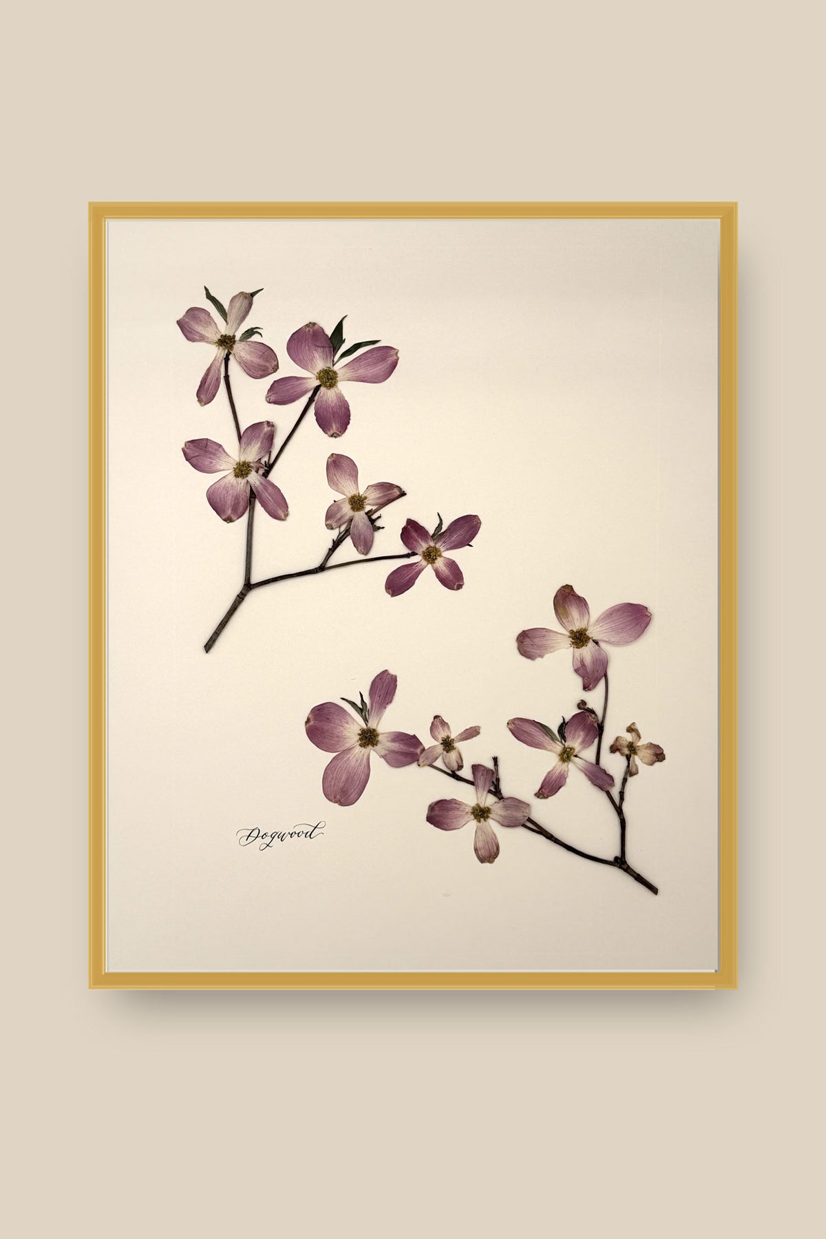 Dogwood Framed