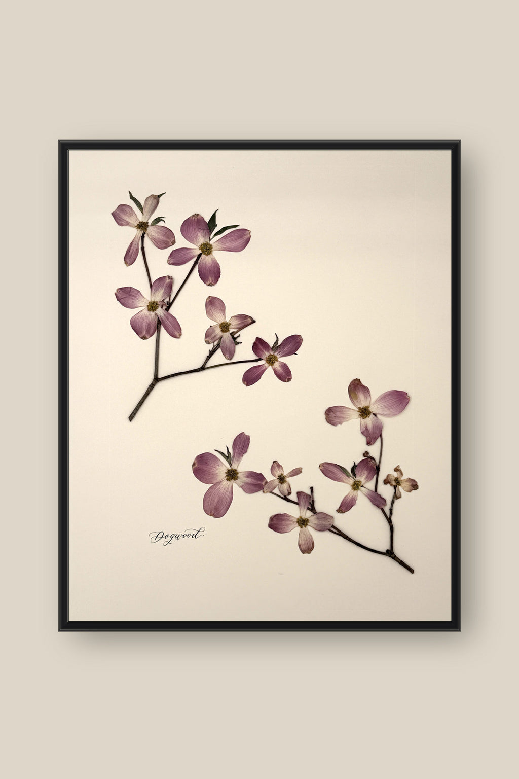 Dogwood Framed