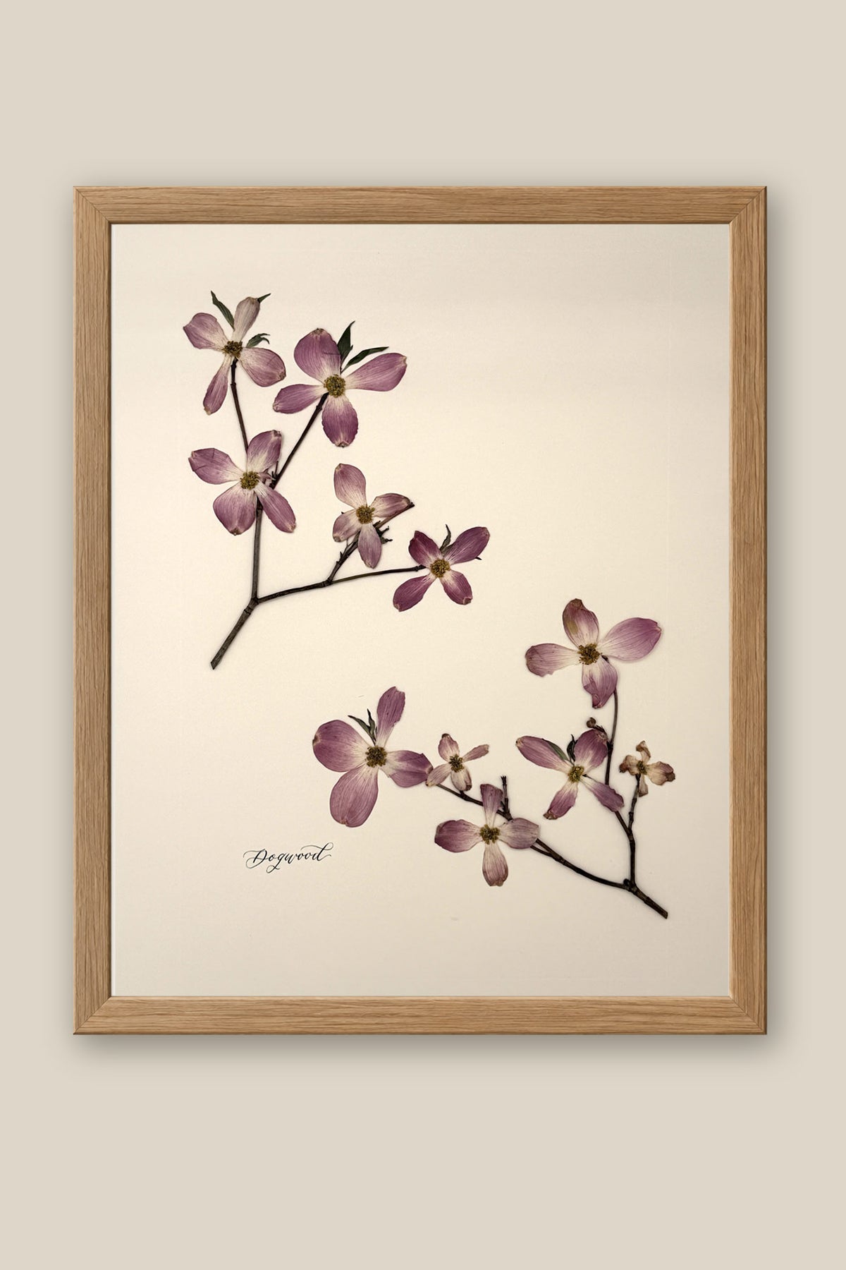 Dogwood Framed