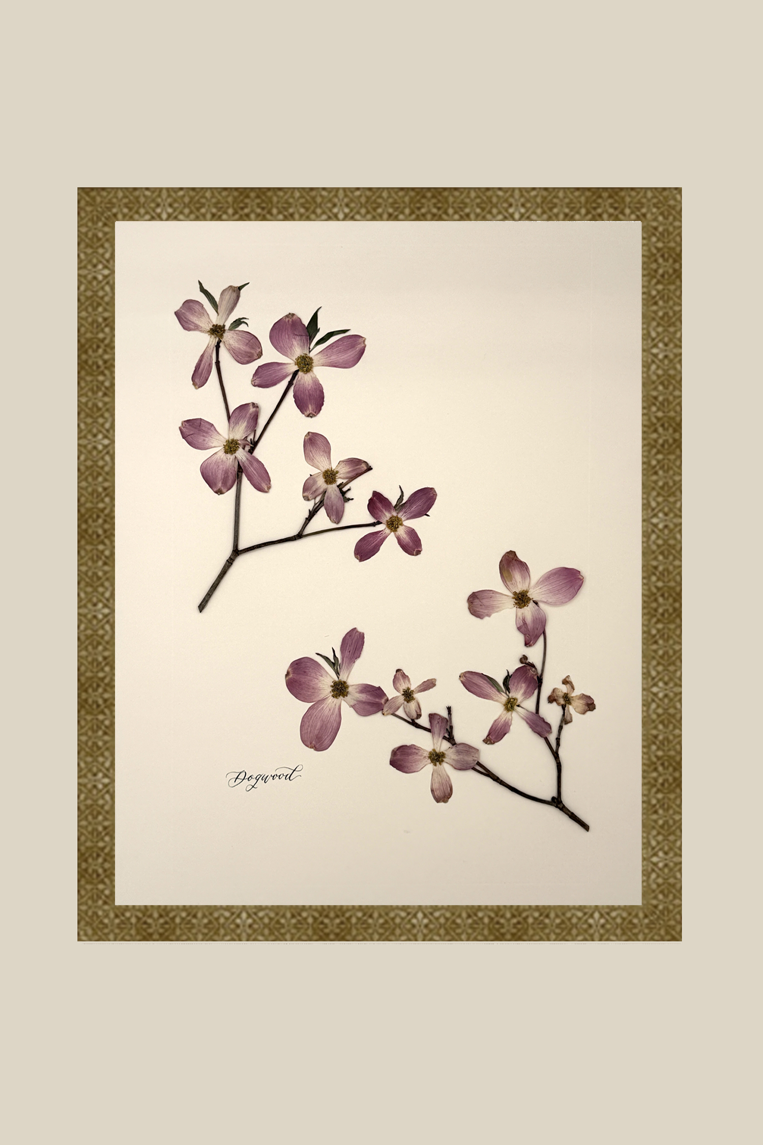 Dogwood