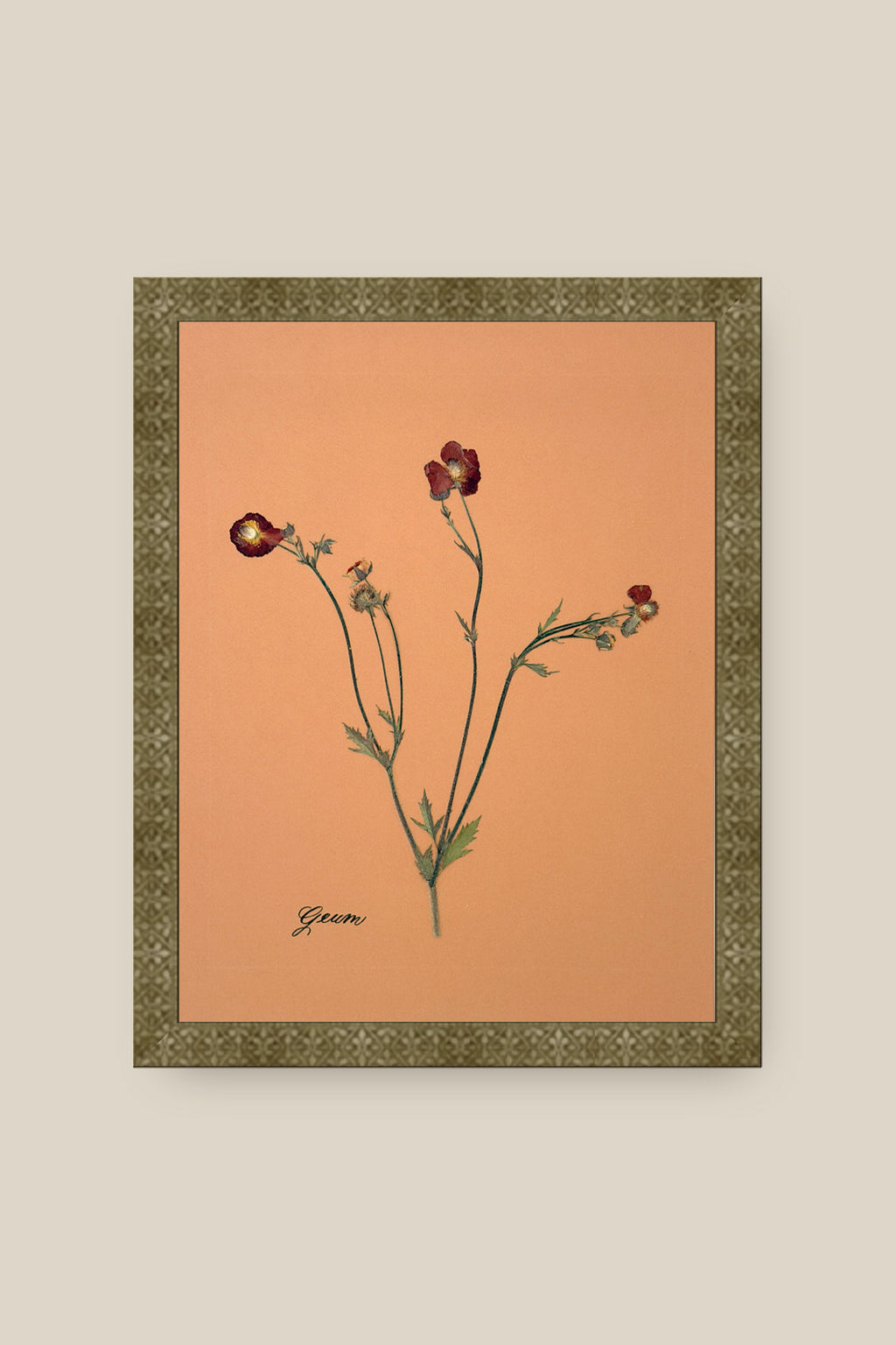 Geum Framed
