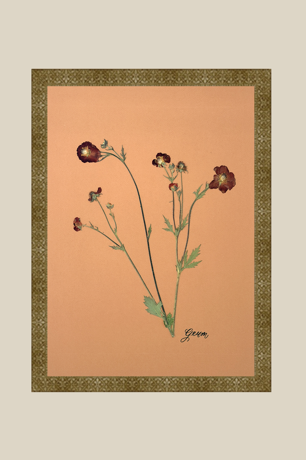 Geum 2 Framed