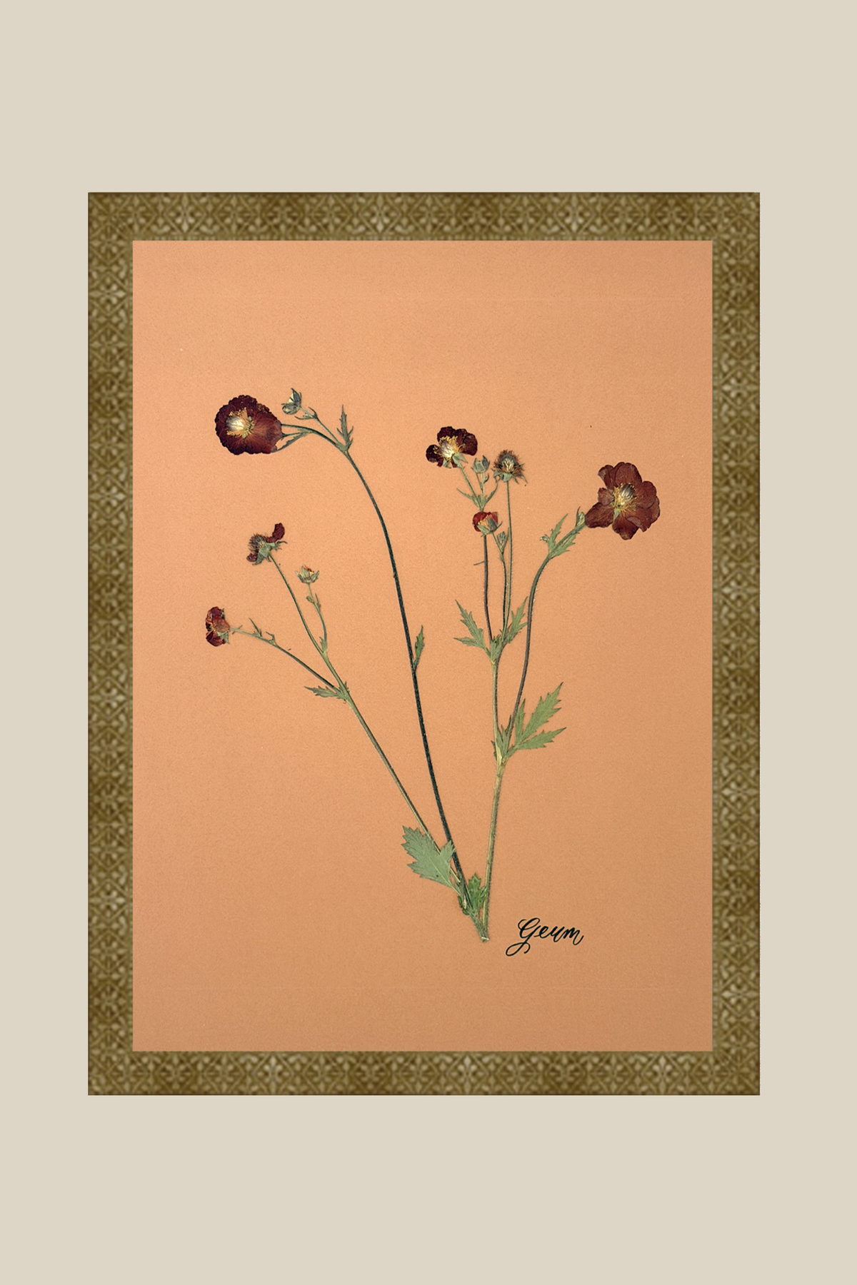 Geum 2 Framed
