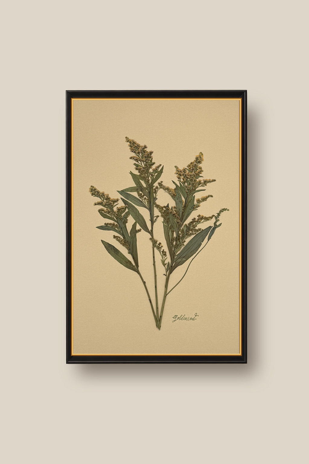 Goldenrod on Mustard Framed