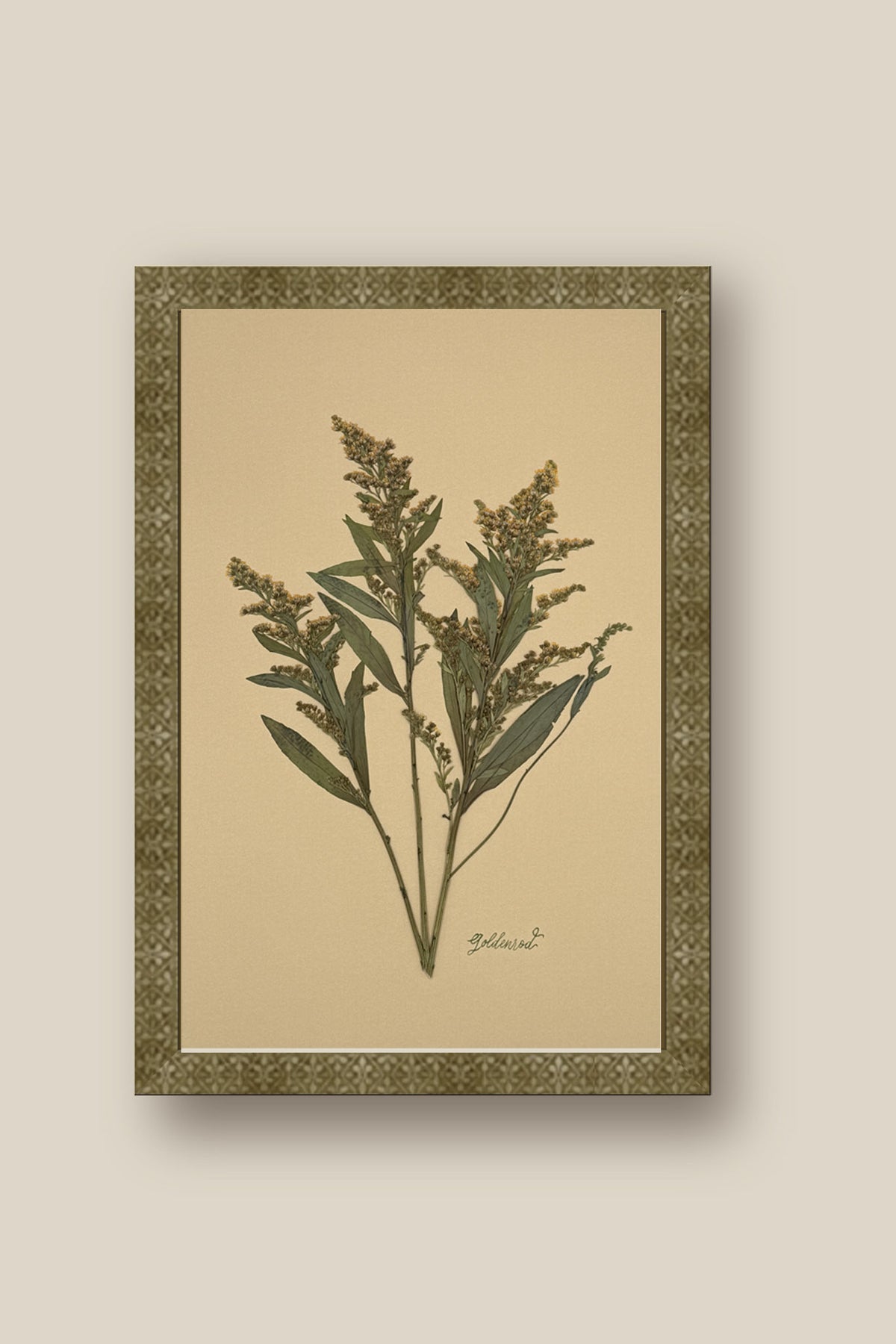 Goldenrod on Mustard Framed