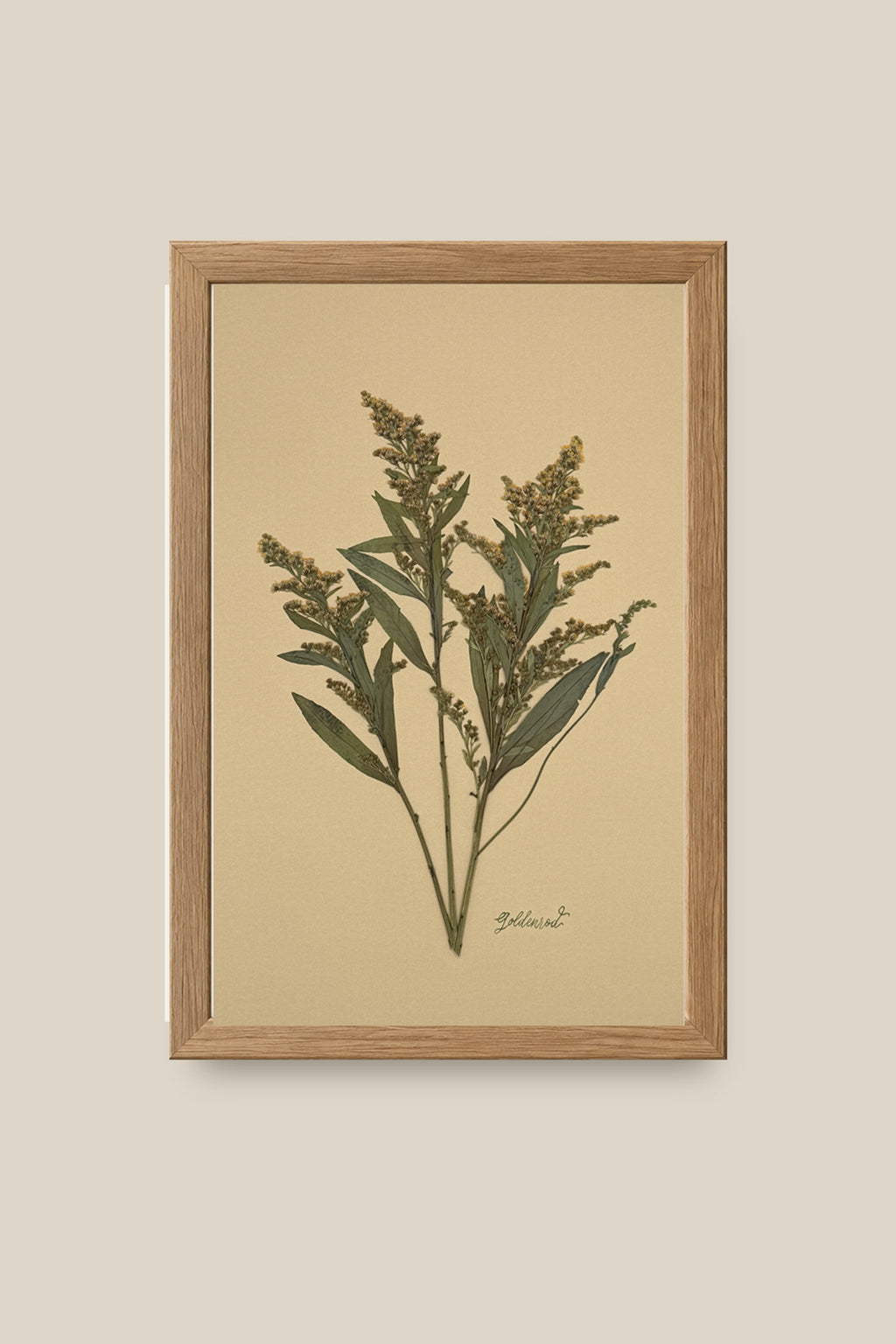 Goldenrod on Mustard Framed