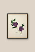 Hellebore on Ivory Framed