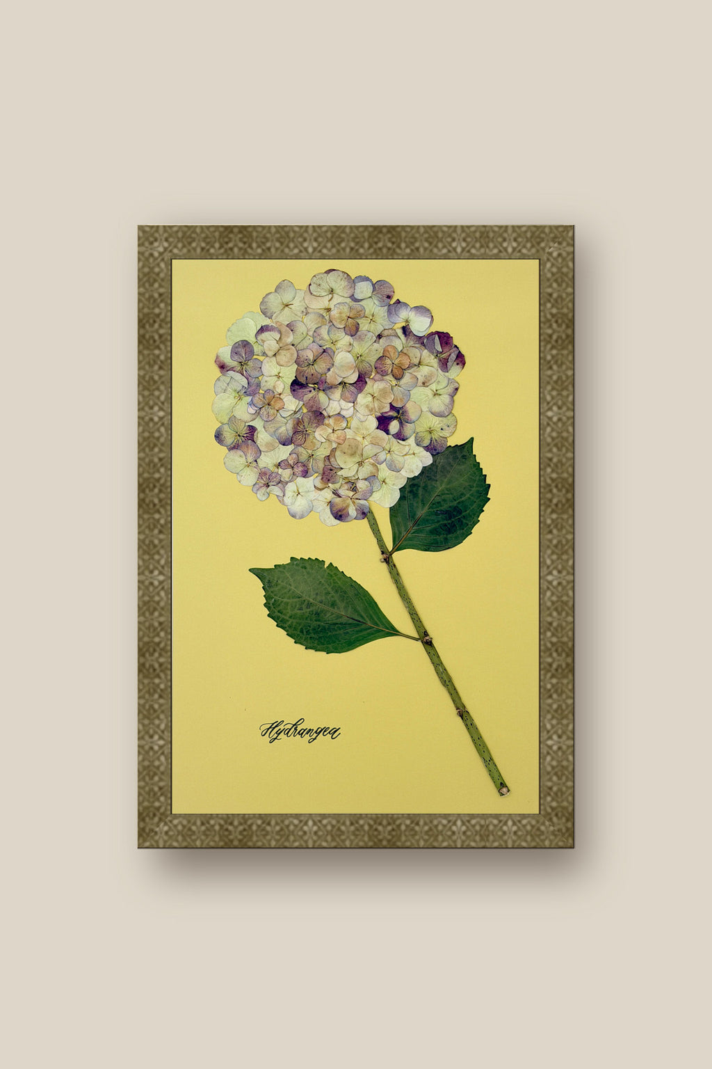 Hydrangea on Green Framed