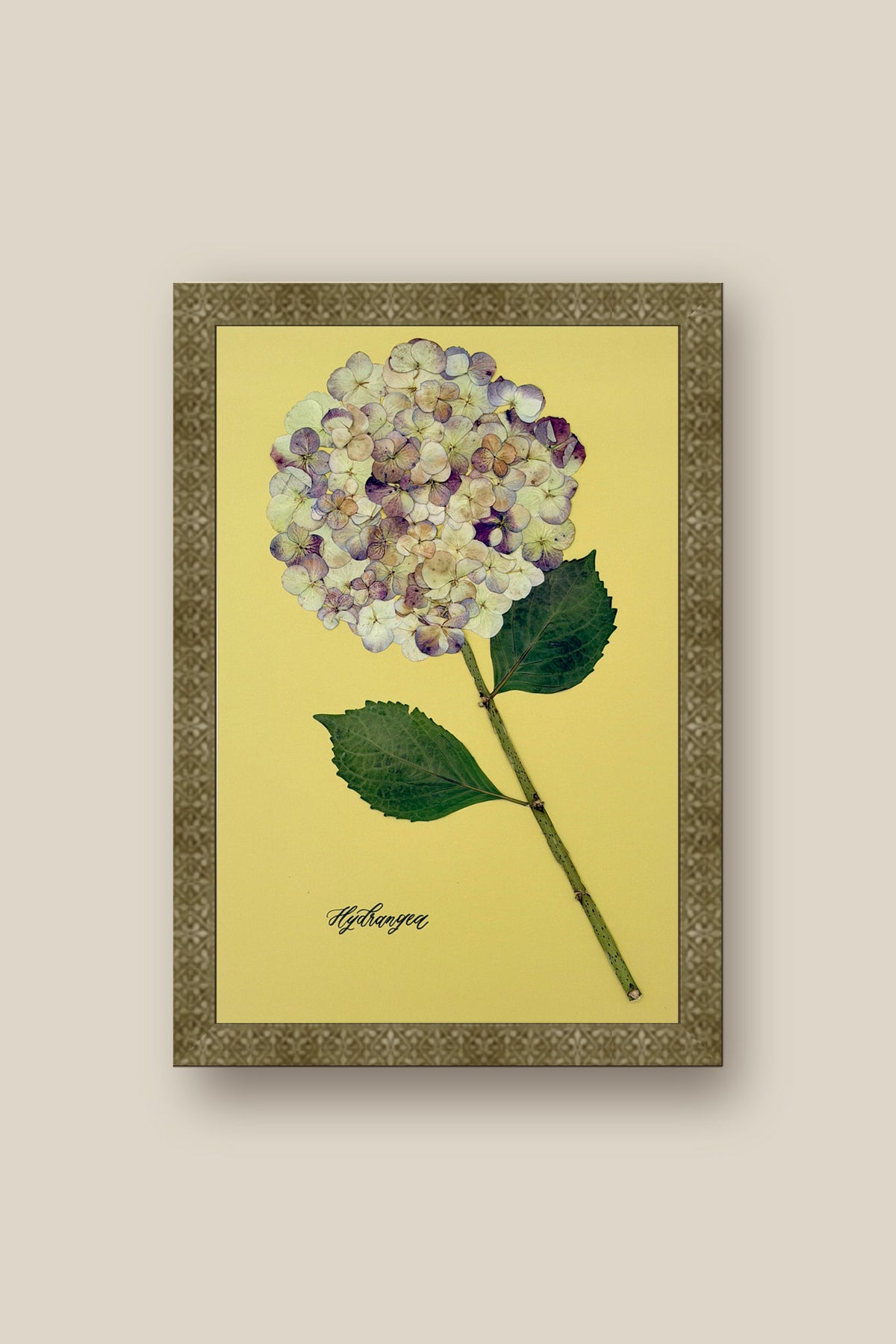 Hydrangea on Green Framed