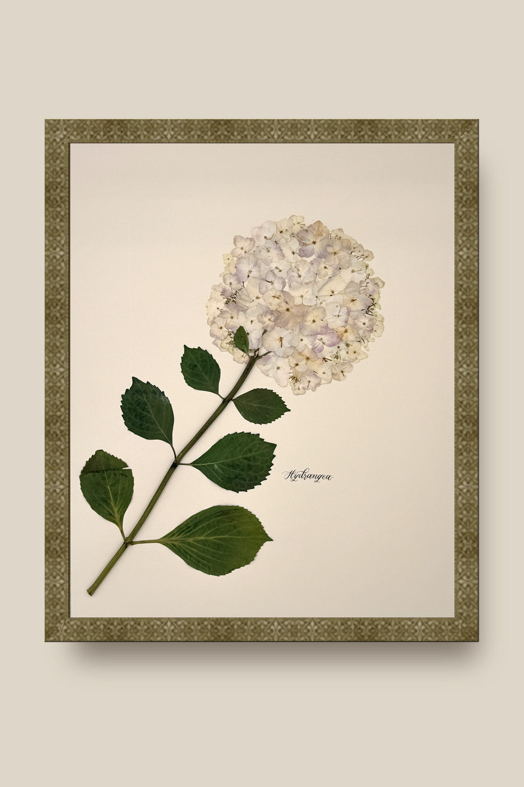 Hydrangea Framed