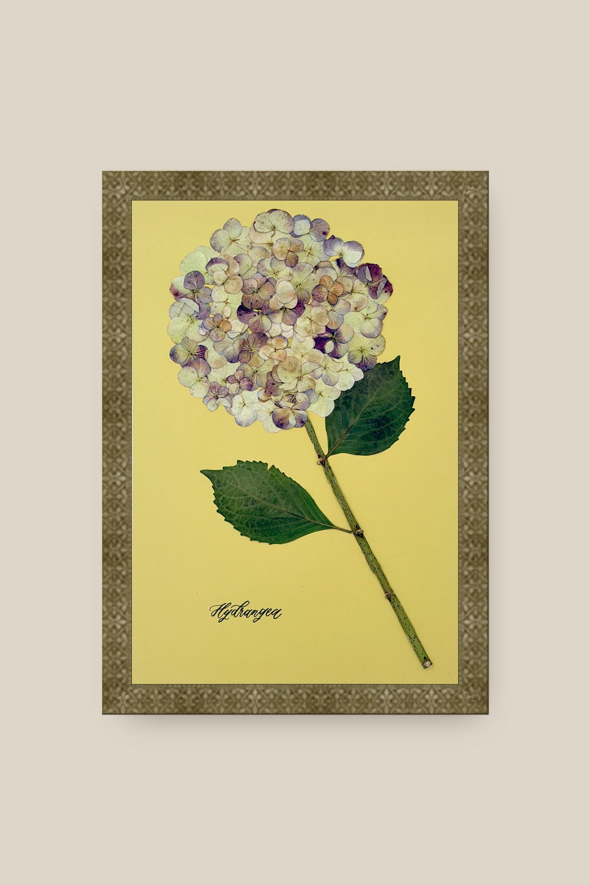 Hydrangea on Green Framed