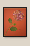 Hydrangea on Rust Framed