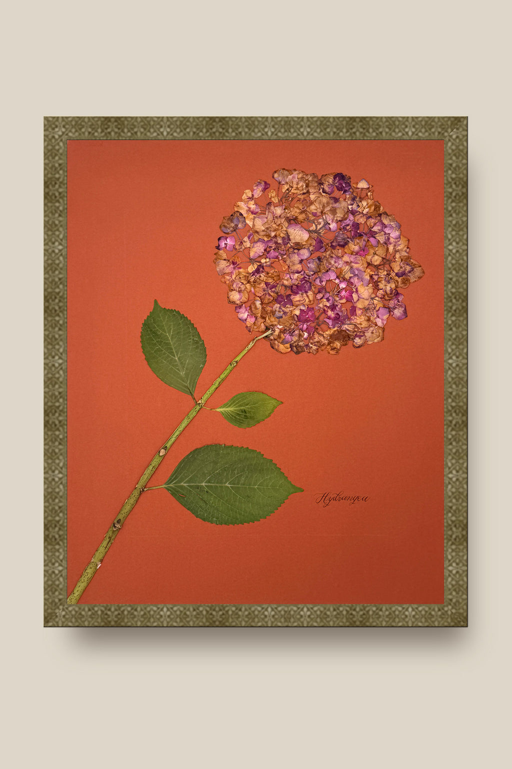 Hydrangea on Rust Framed