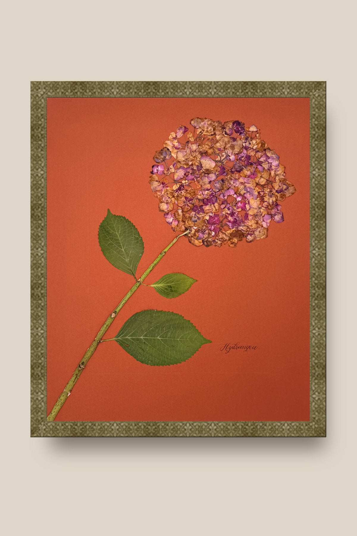 Hydrangea on Rust Framed