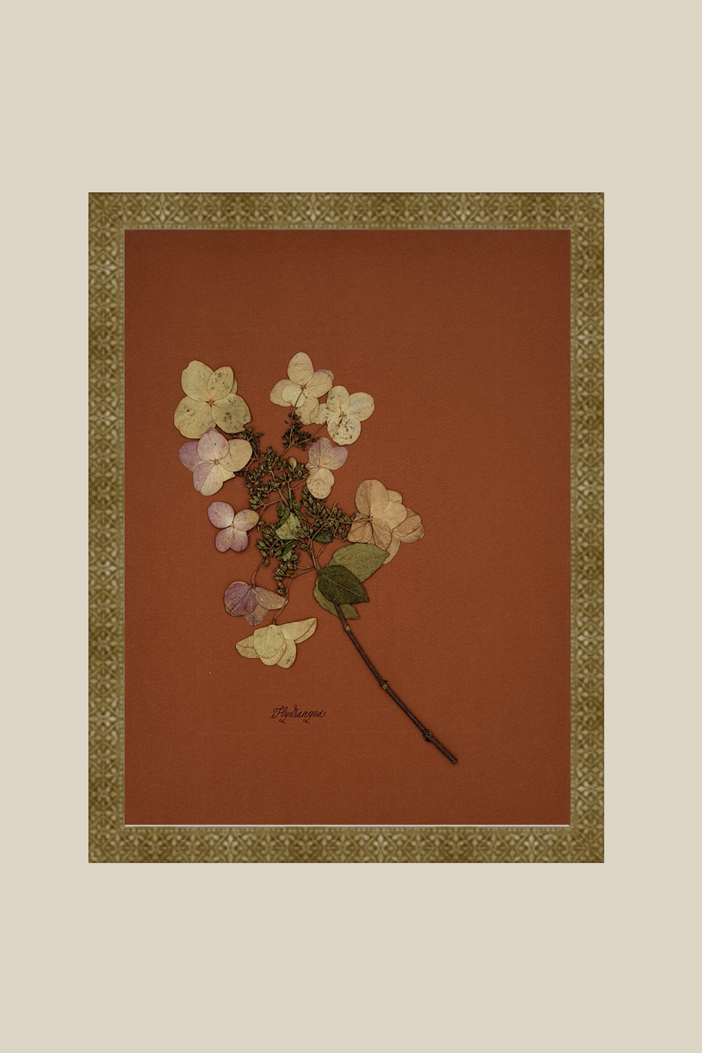 Hydrangea on Rust