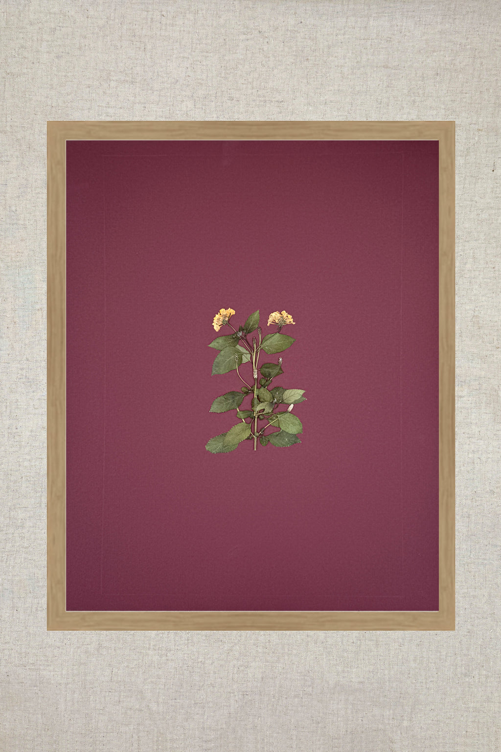 Raw Oak Wood UV Protection Low Glare 16x20 Frame