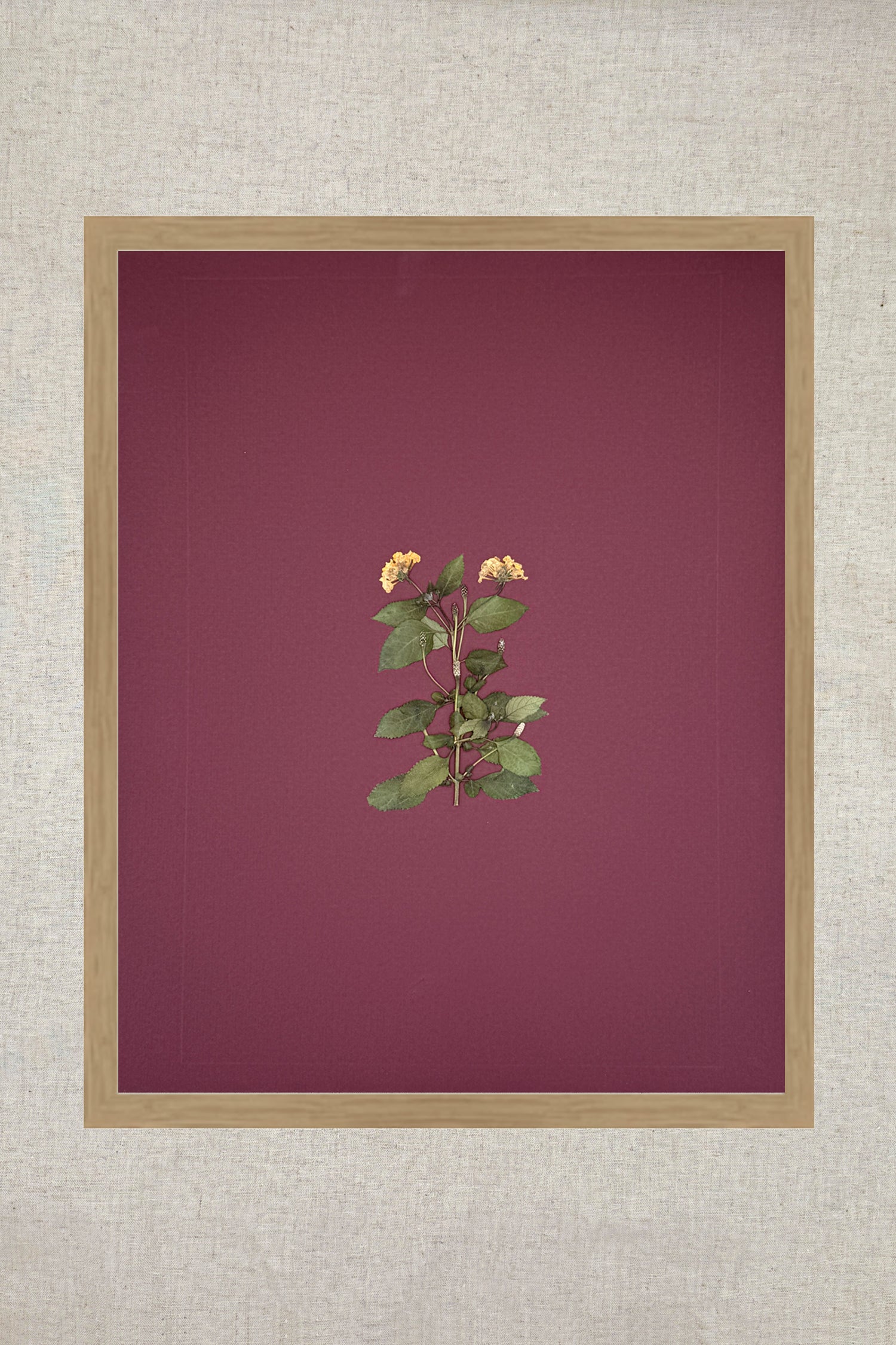 Raw Oak Wood UV Protection Low Glare 16x20 Frame