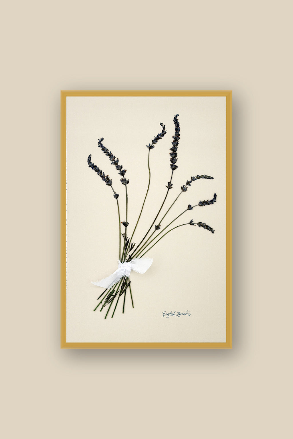English Lavender Bouquet Framed
