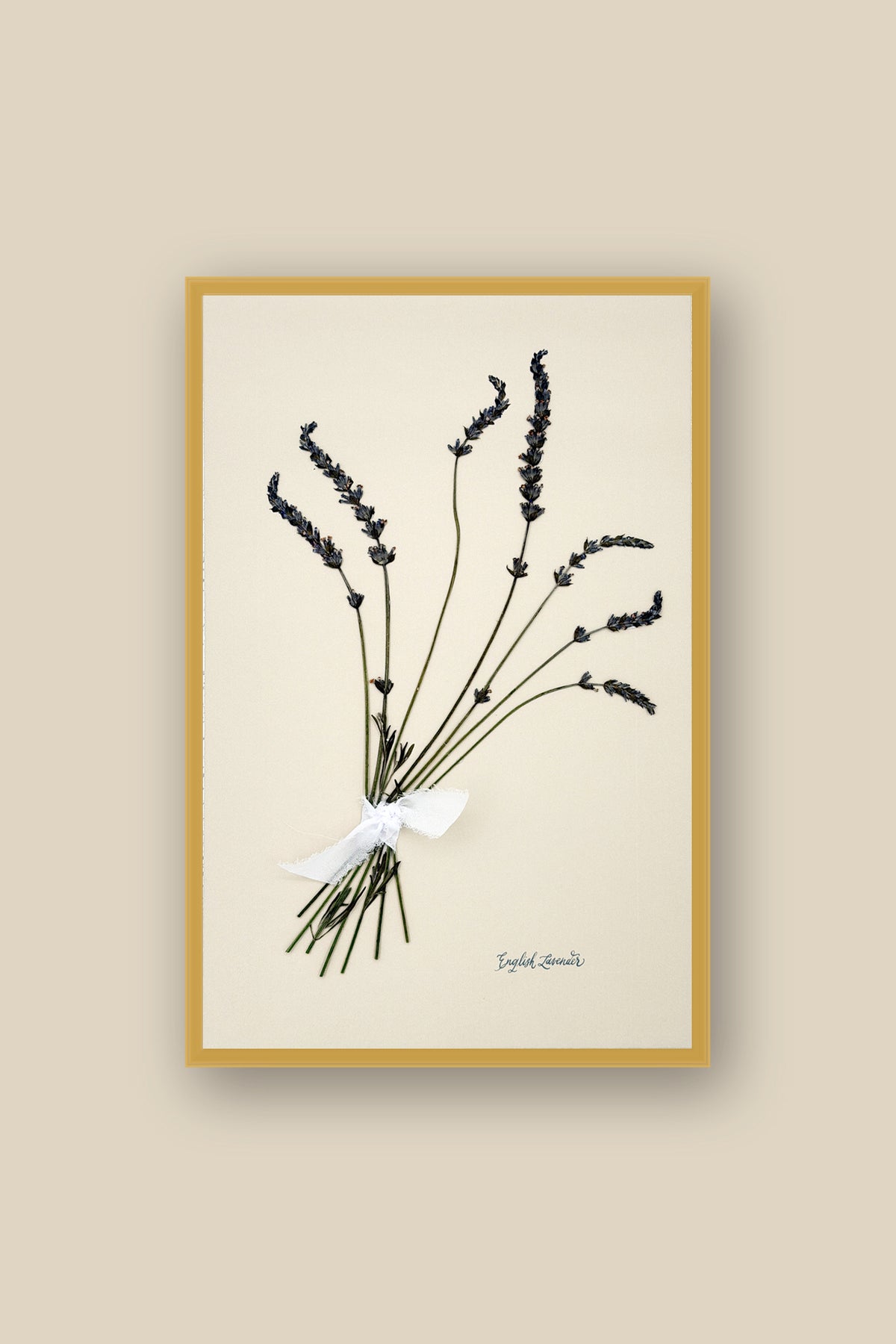 English Lavender Bouquet Framed
