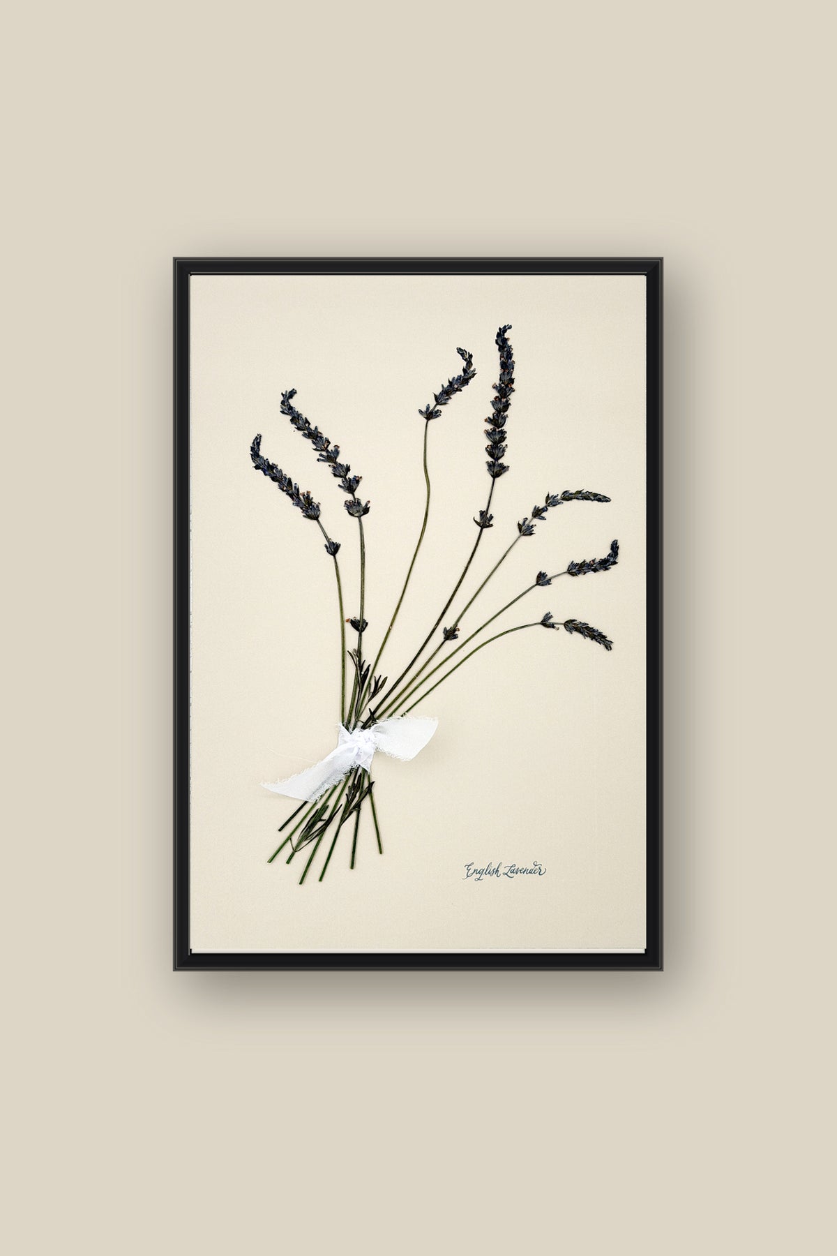 English Lavender Bouquet Framed