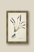 English Lavender Bouquet Framed