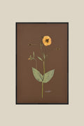 Lisianthus on Chocolate
