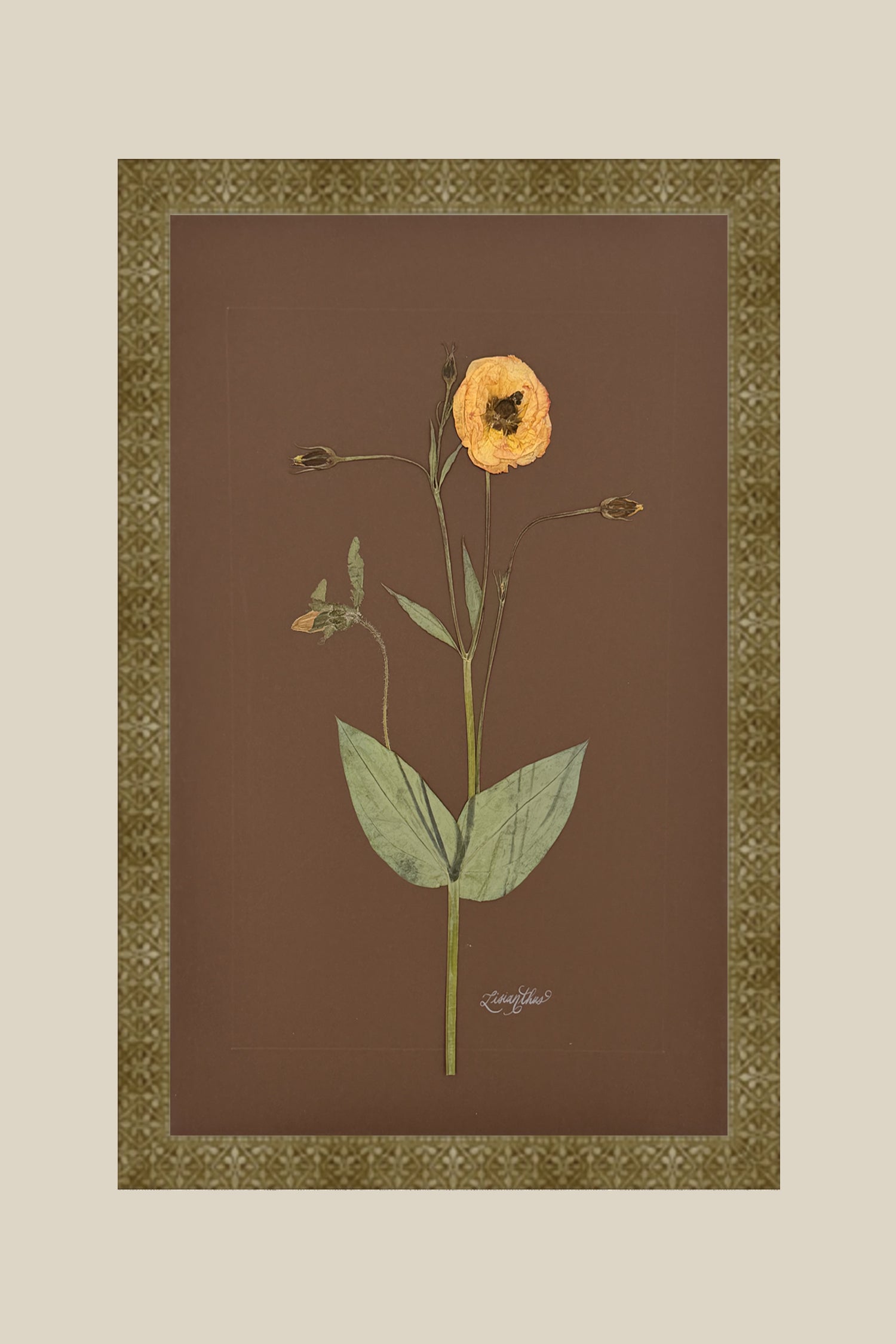 Lisianthus on Chocolate