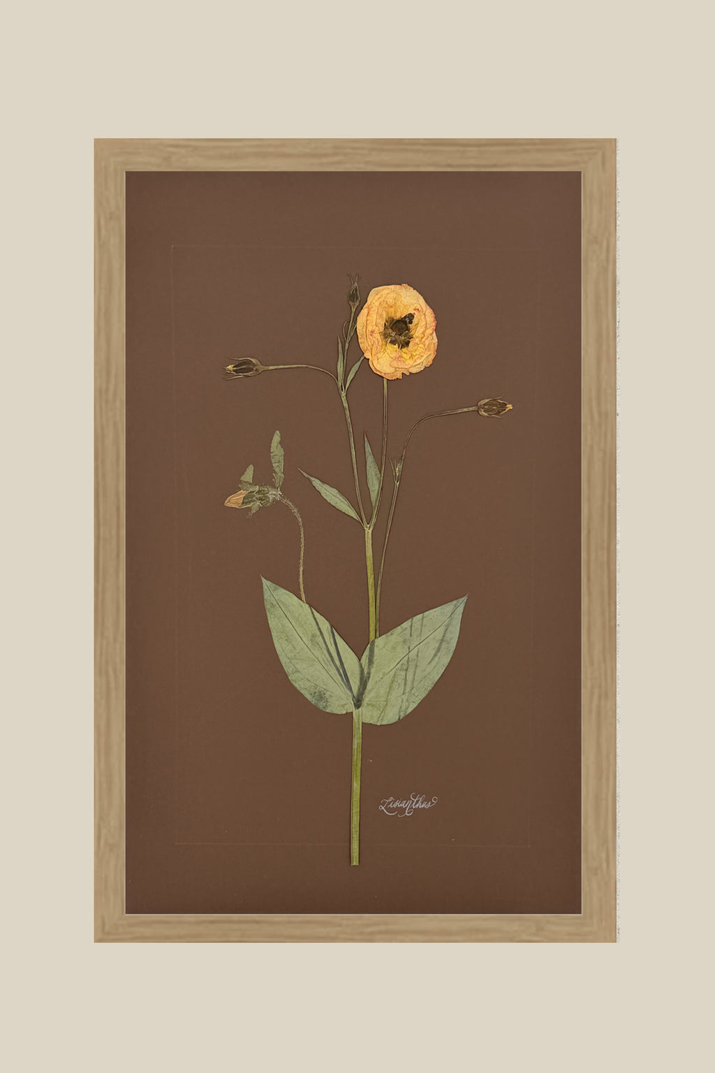 Lisianthus on Chocolate
