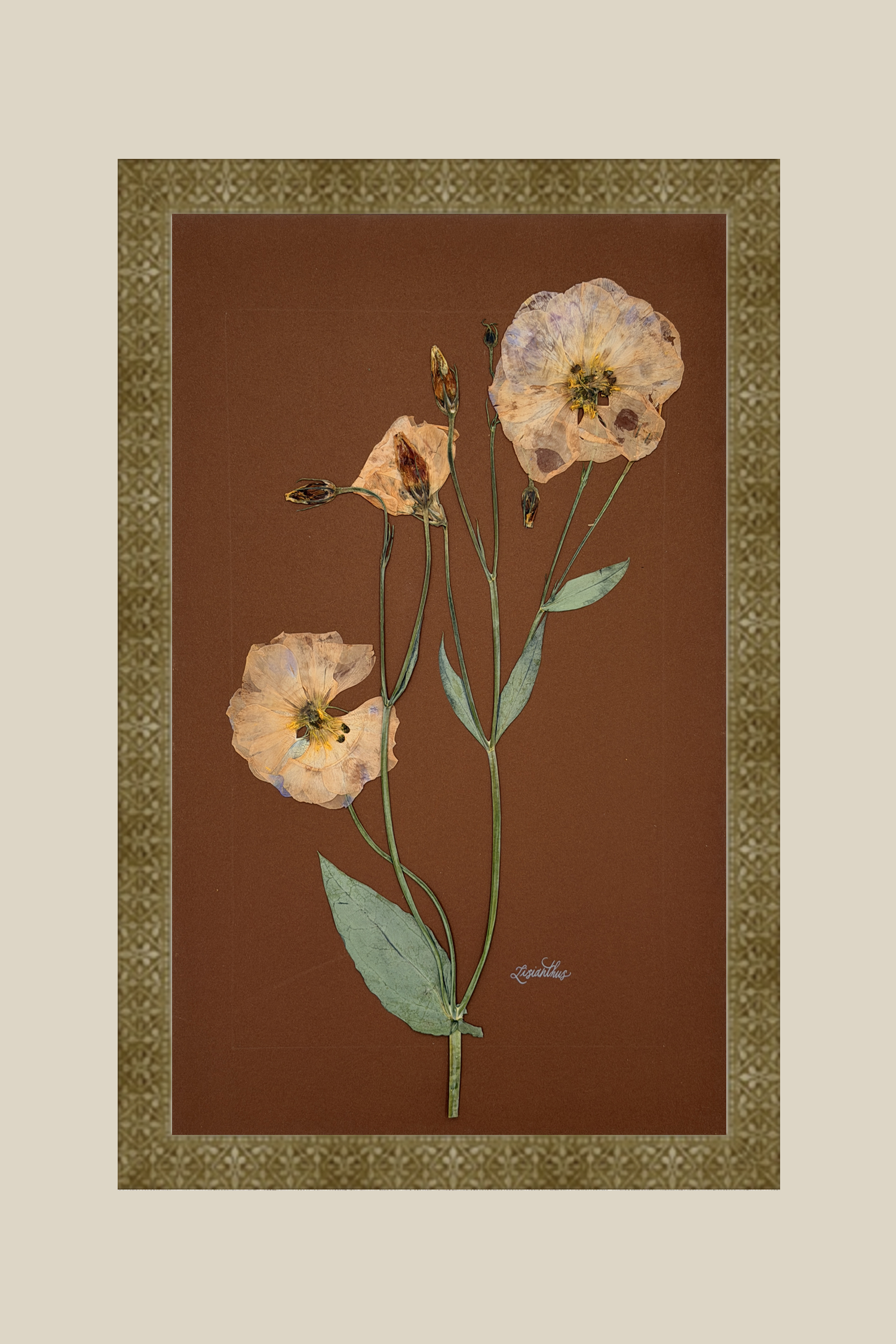 Lisianthus on Chocolate