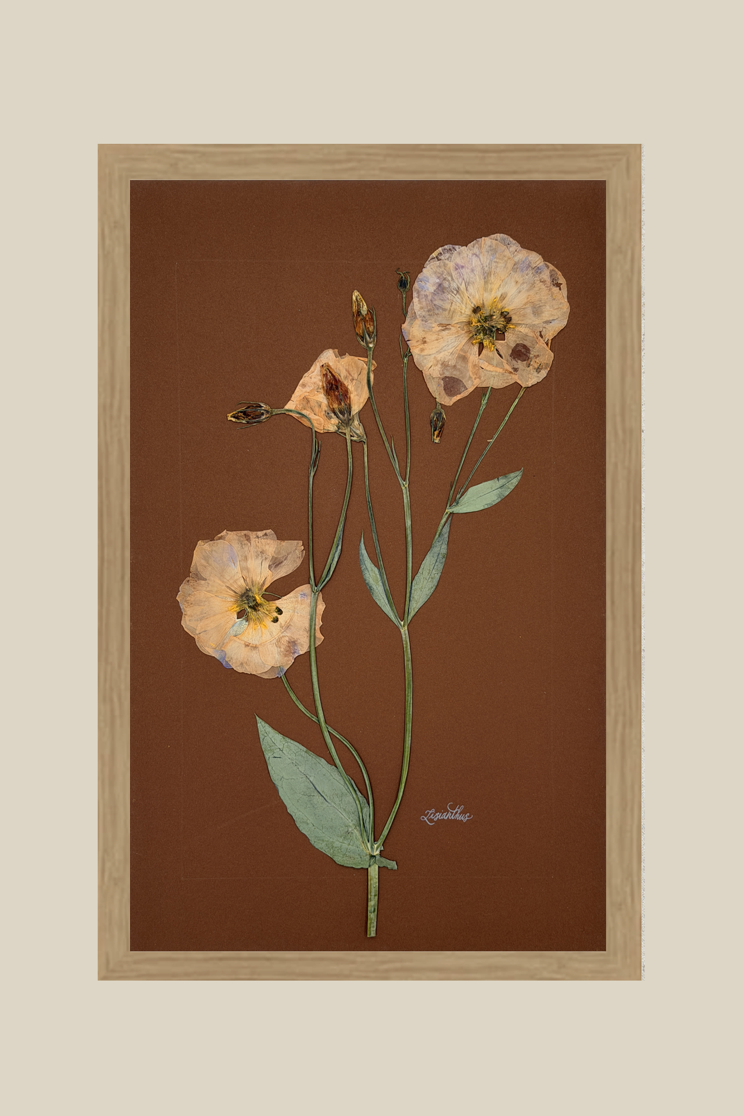 Lisianthus on Chocolate