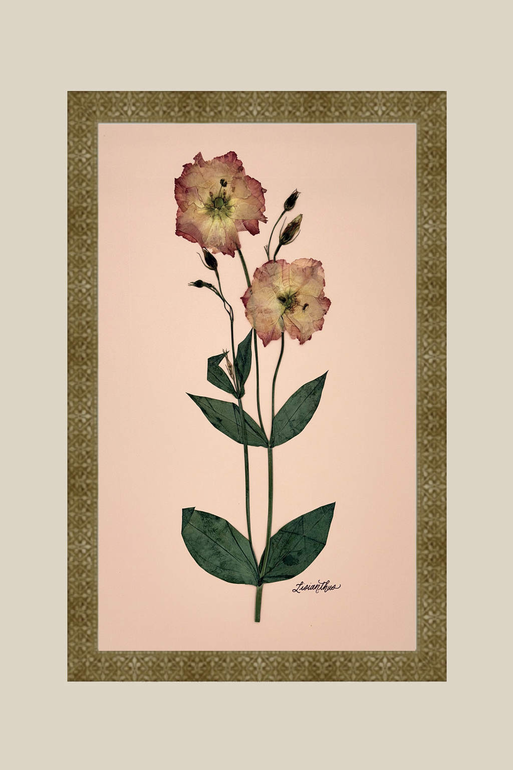 Lisianthus on Pink