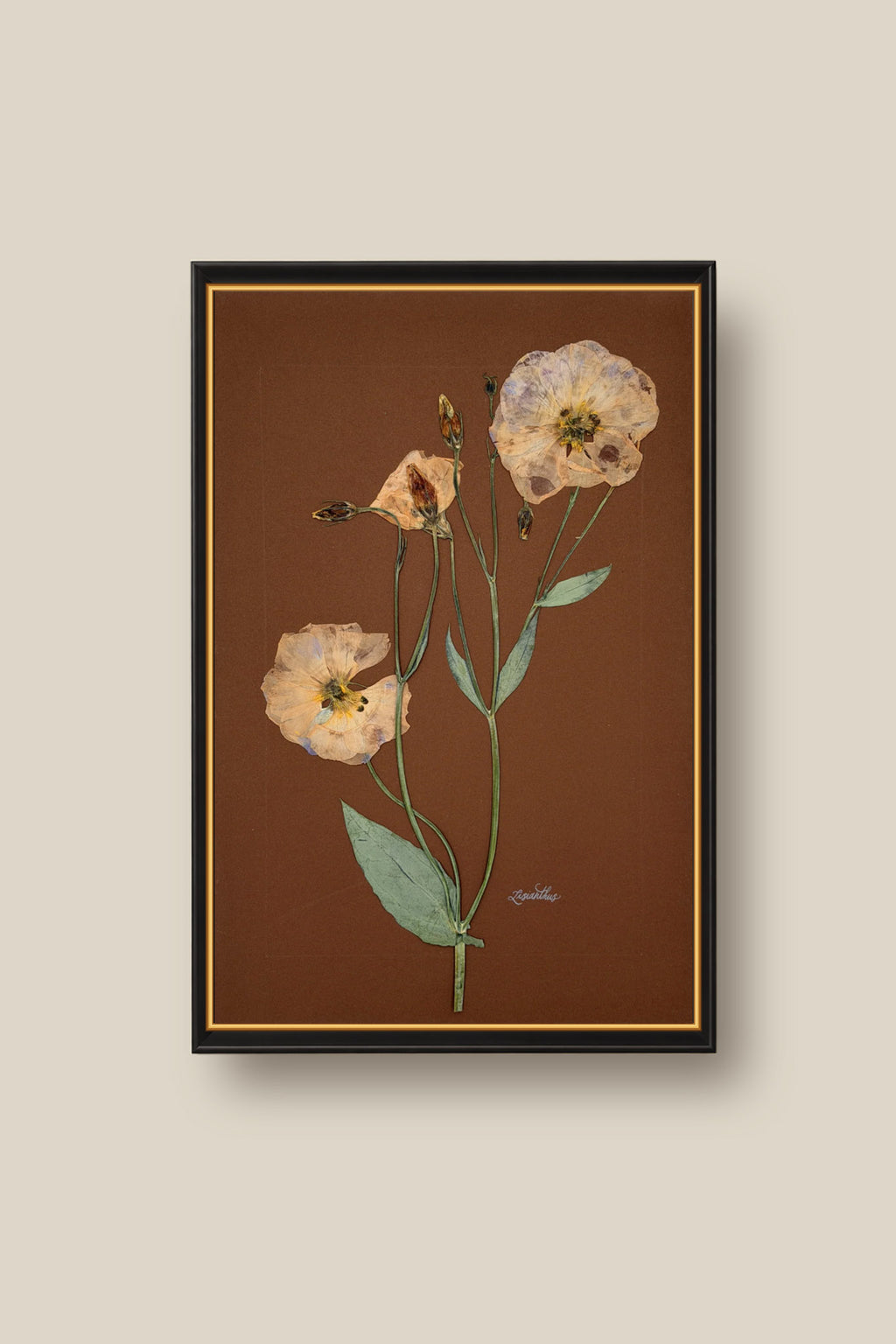 Lisianthus on Chocolate Framed
