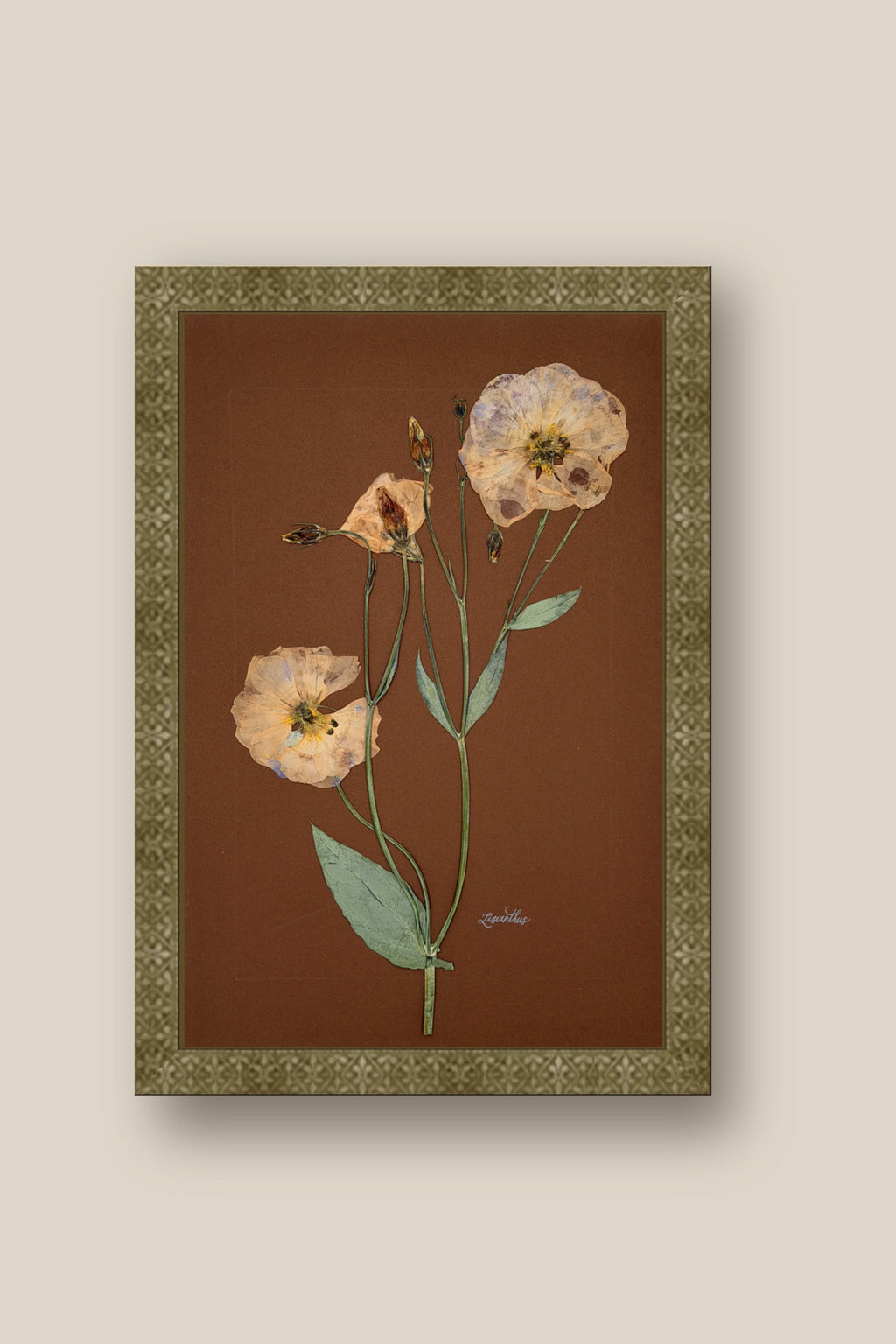 Lisianthus on Chocolate Framed