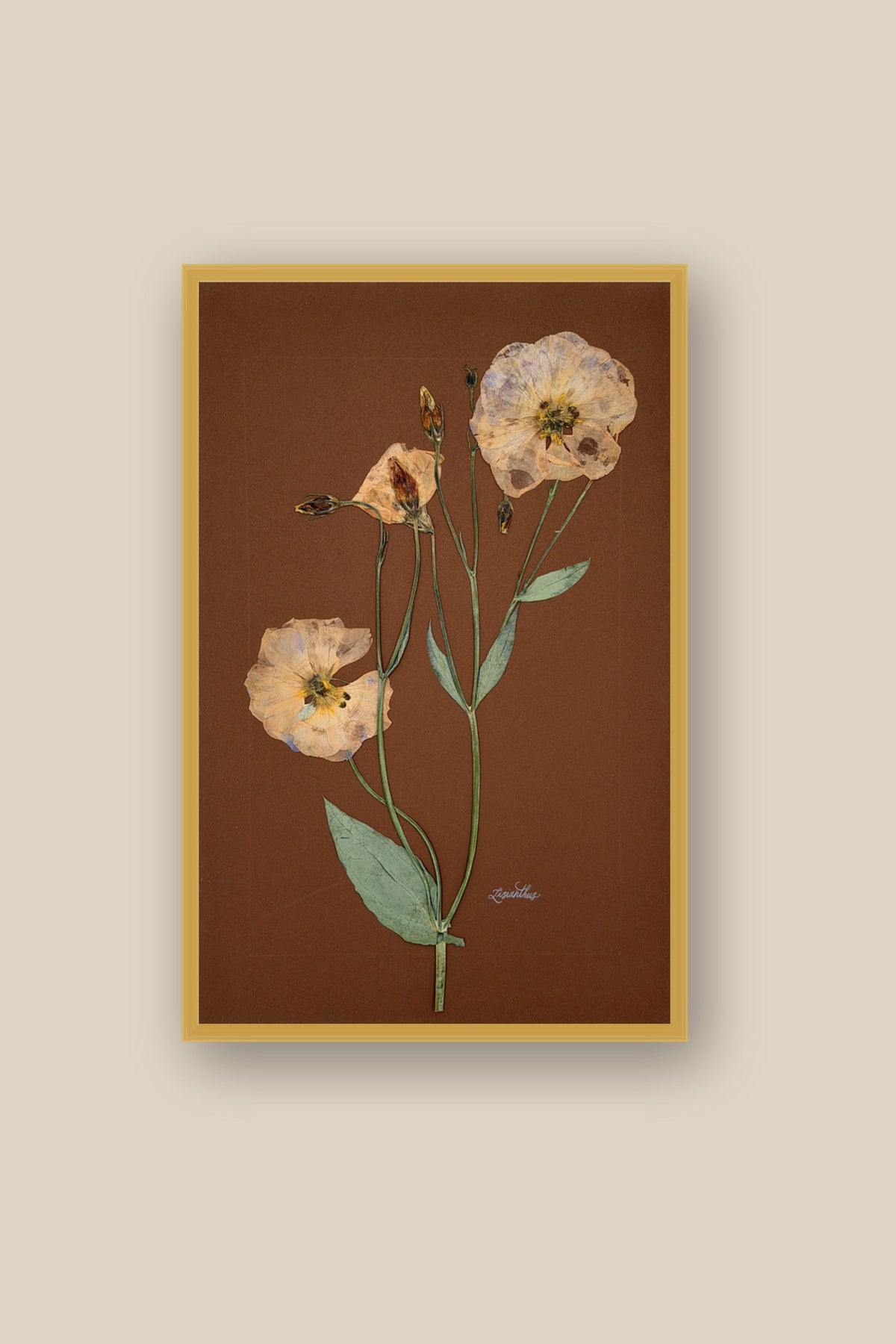 Lisianthus on Chocolate Framed