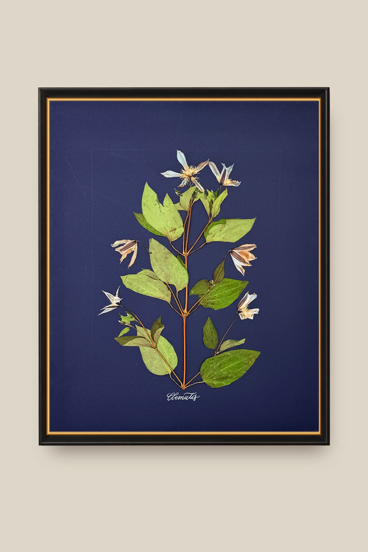 Clematis on Navy Framed