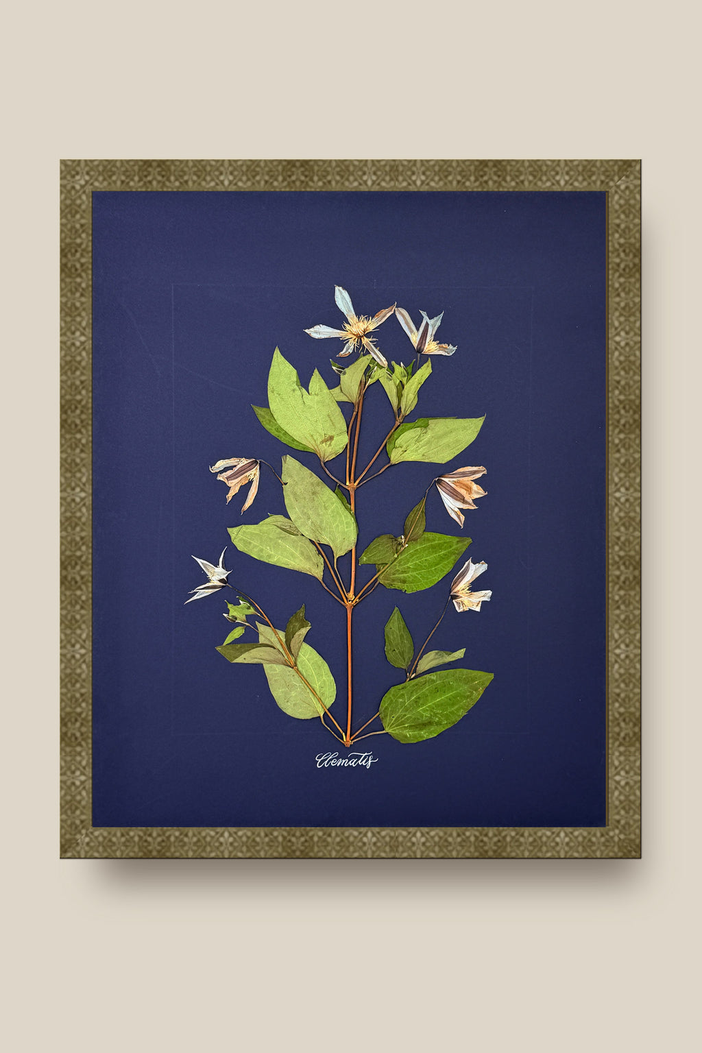 Clematis on Navy Framed