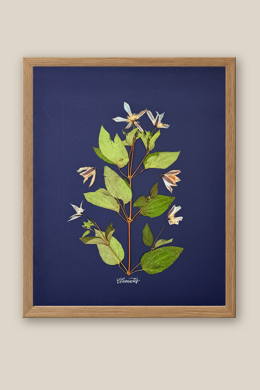 Clematis on Navy Framed