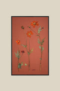 Orange Cosmos on Rust