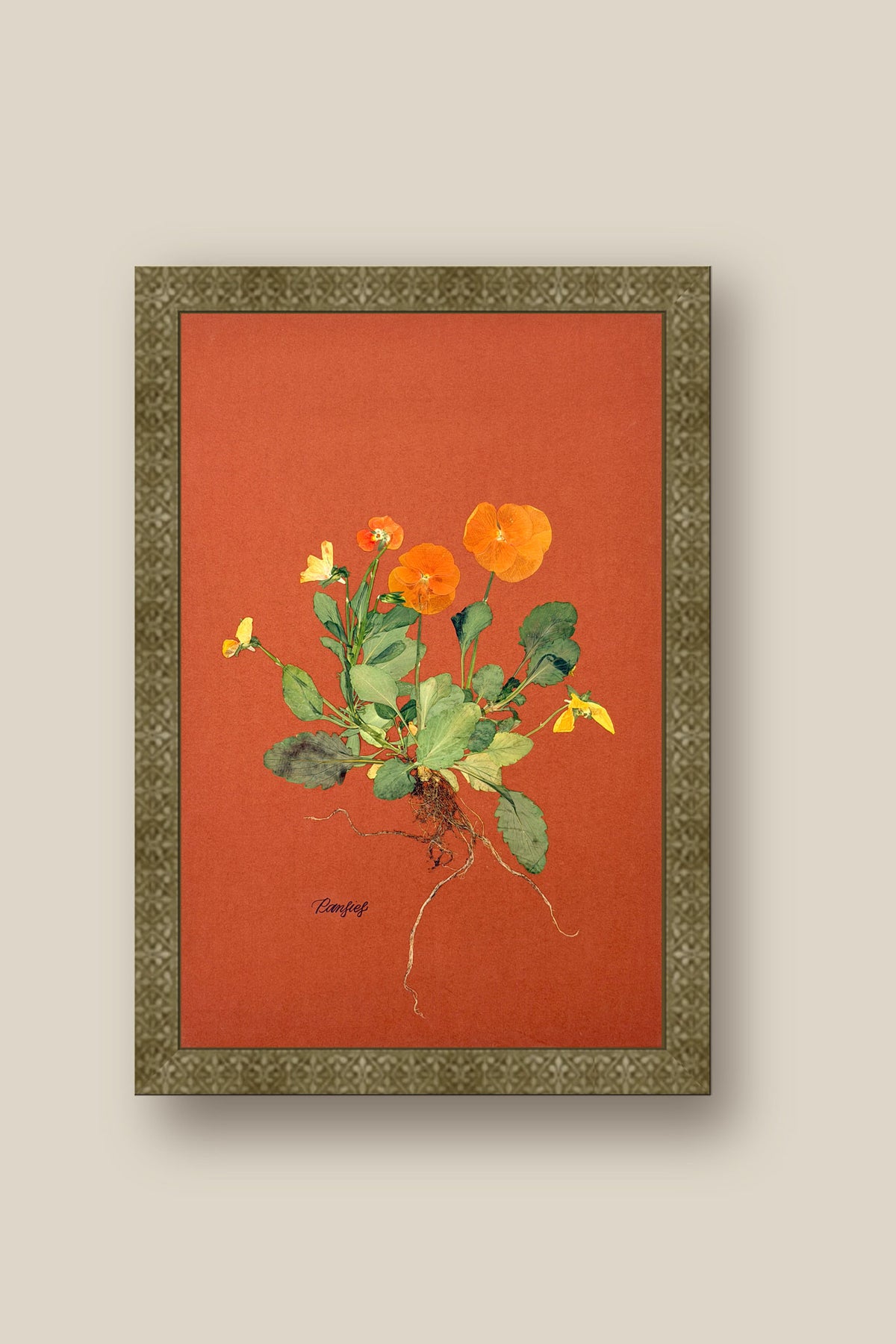 Orange Pansies with Roots Framed