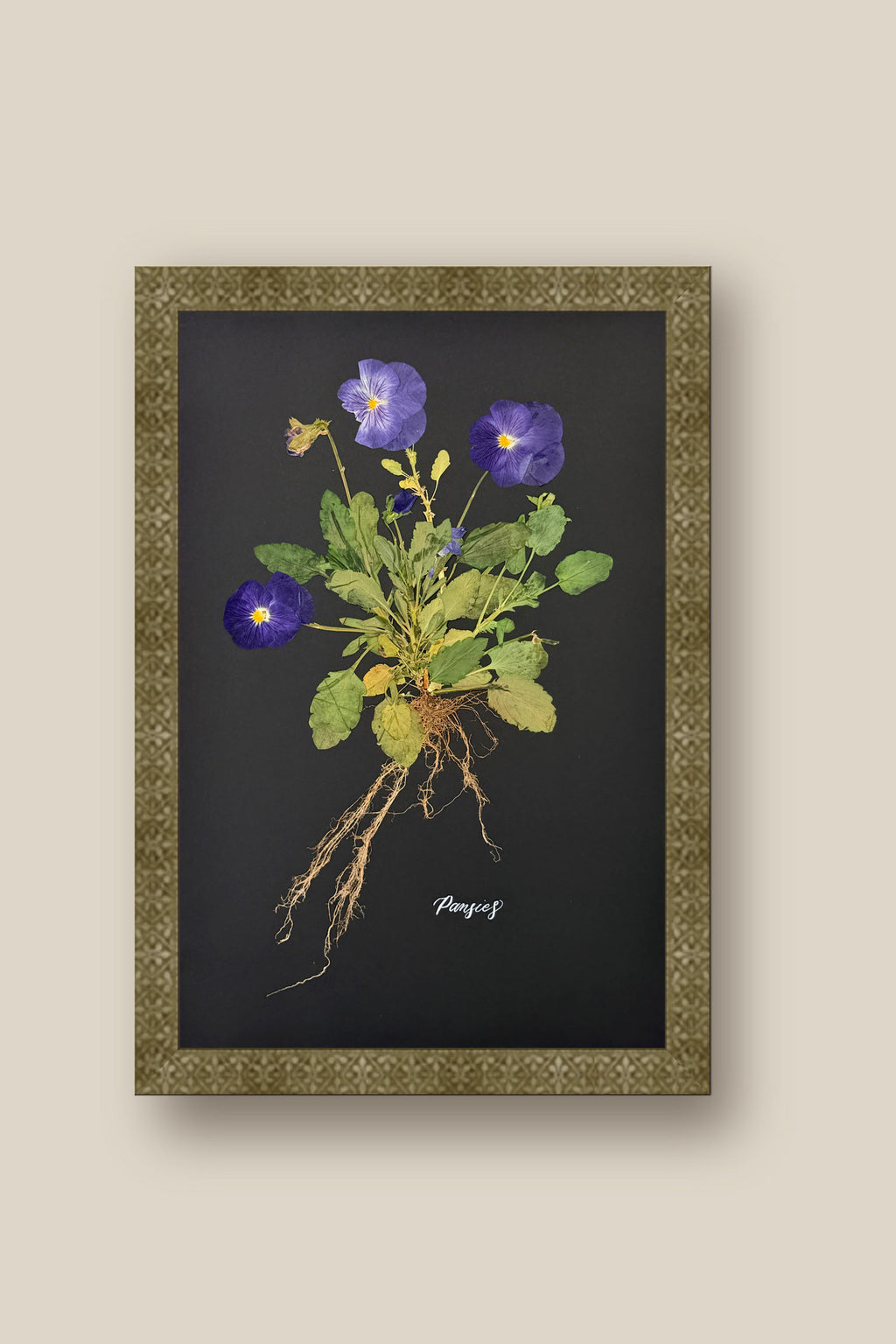 Blue Pansies with Roots Framed